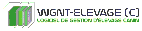 Rechercher dans&nbsp;Wgnt-Elevage